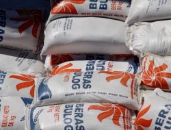 15 Ribu Ton Beras Impor, Bulog NTB Siap Jadi Pusat Transit untuk Stabilitas Stok Nasional