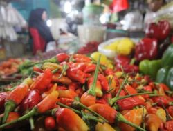 Pedas! Harga Cabai di NTB Melejit hingga 21% Menjelang Natal dan Tahun Baru