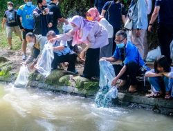 Banjir Ikan di NTB, Tebar 1 Juta Bibit Ikan, Program Spektakuler FWE dan Dislutkan