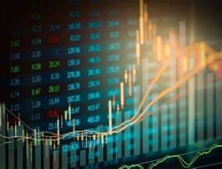 NTB Melek Saham, Dari Pondok Pesantren Sampai Kampus, Investor Bertumbuh Bak Cendawan di Musim Hujan!