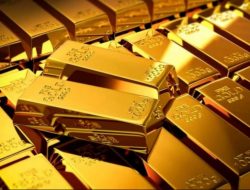 Skandal Tambang Emas Sekotong, Misteri WNA China, Alat Berat Disita, tapi Kasus Seakan Jalan di Tempat