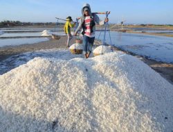 Rp 10 Miliar untuk Masa Depan Garam NTB,Pabrik Pengolahan Garam Terbesar Siap Beroperasi