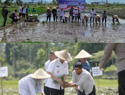 Hj. Nurul Adha Dorong Percepatan Dukungan untuk Petani saat Hadiri Gerakan Tanam Padi Serentak