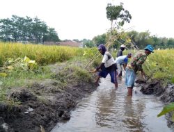 Petani Lombok Timur Hadapi Tantangan Air Irigasi, Solusi Kolaboratif Segera Dijalankan