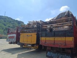 Antrean Truk Pengangkut Sapi di Pelabuhan Gili Mas Lombok Akhirnya Terurai, Peternak Berharap Sistem Pengiriman Lebih Baik