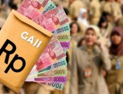 Gaji 10 Bulan CPNS & PPPK Kota Mataram Langsung Cair, Ini Rincian Lengkapnya!