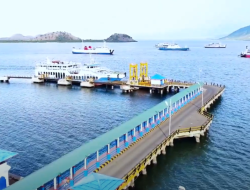 Pelabuhan Pototano Tetap Buka! Organda NTB Tolak Keras Aksi Penutupan, Dukung Aspirasi Sumbawa Tanpa Ganggu Ekonomi Rakyat