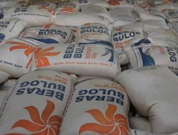 Bulog NTB Gandeng 110 Mitra Percepat Serapan Gabah Petani, Stok Beras Aman hingga Akhir Tahun