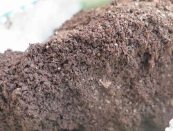 Pertaruhan Miliaran Rupiah di Lombok, Duel Dokumen Lahan Sengit Antara Pengusaha vs Kuasa Hukum