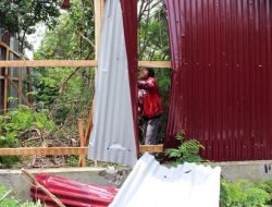 Aksi Tegas Pemkab Lotim 40 Lapak Ilegal di Pesisir Pantai Dibongkar Habis