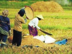 NTB Cetak Rekor Baru! Modal Rp184 Miliar Siap Pacu Ekonomi Mikro, UMKM dan Petani Jadi Raja!