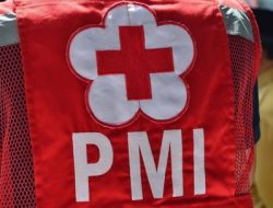 Kisah Pilu Dokter Aini, Dicopot Sepihak, STR dan SIP Dipakai Tanpa Izin