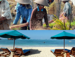 NTB Siap Cetak Rekor Ekonomi Hijau, Pertumbuhan 7,2% Tanpa Andalkan Tambang, Sektor Pertanian dan Pariwisata Jadi Pahlawan