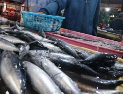 Pemkot Mataram Siapkan Pasar Ikan Higienis Bintaro, Anggaran Rp 600 Juta untuk Wujudkan Kawasan Perdagangan Modern