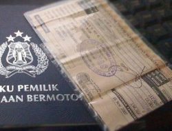 Pendapatan NTB Tembus Rp1.404 Triliun! Sektor Ini Jadi Pendorong Utama Ekonomi Daerah