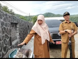 Vila-Vila Ilegal di Batulayar Masih Bandel, Satgas Perizinan Diberi Sinyal Darurat!