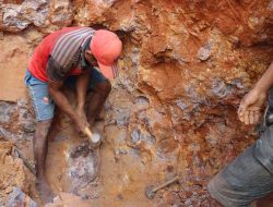 Emas di Bawah Kaki, Kisah Warga Sekotong yang Berjuang dari Kemiskinan dengan Tambang Rakyat