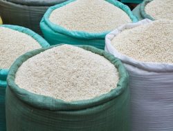 Harga Beras Dikunci, Harapan Rakyat Dinyalakan, Gerakan Pangan Murah Serentak di 5.302 Titik