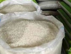 Beras Bantuan Pemerintah Siap Dikirim ke 511 Ribu Keluarga di NTB