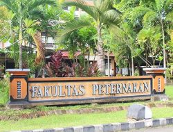 Fakultas Peternakan Unram Ubah Limbah Jadi Emas dengan Maggot!