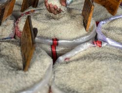 Ketika Rakyat Dijadikan Mangsa di Tengah Stok Melimpah