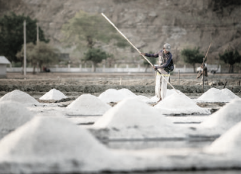 Pabrik Garam Rp 11 Miliar di Bima Terancam Jadi Monumen, Modal Seret, Pasar Seret, Mesin Terancam Karat