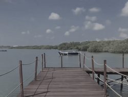 Bale Mangrove, Dari Lahan Angker Penuh Sampah Jadi Mesin Ekonomi Baru di Selatan Lotim