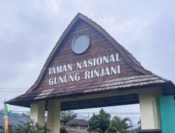 Gunung Rinjani Jadi Percontohan Nasional, Pendakian Kini Berbasis Standar Risiko Internasional