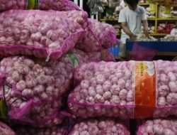 NTB Lumbung Bawang, tapi Tanpa Gudang Standar, Petani Masih Terjebak Fluktuasi Harga