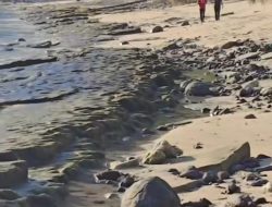 Pantai Nipah Sepi Usai Tragedi, Warga Bergerak Pulihkan Kepercayaan Wisatawan