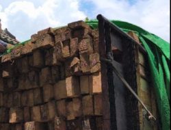 Empat Truk Kayu dari Sumbawa Digerebek: DLHK NTB Bongkar Dugaan Jaringan Pembalakan Liar Bernilai Ratusan Juta