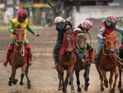 Dompu Menuju Era Baru Pacuan Kuda, Tradisi Tetap Lestari, Hak Anak Jadi Prioritas