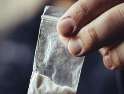 BNN NTB Ungkap Tren Baru Peredaran Narkoba: Paket Ekspedisi Jadi Jalur Favorit Penyelundup Medan–Sumbawa