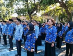 Tangis Honorer Pecah di HUT NTB, Nasib 518 Orang Ditentukan Akhir Tahun