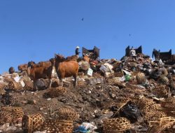 Lonjakan Sampah Ancam Reputasi Gili Trawangan Jelang Musim Puncak Wisata