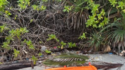 Mayat Perempuan di Pantai Pandanan Diduga Warga Malang, Polisi Tunggu Kepastian Identitas