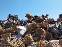 Gili Trawangan Dapat Insinerator, Pemerintah Dorong Solusi Berkelanjutan Atasi Sampah