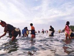 Festival Bau Nyale 2026 Dongkrak Ekonomi Warga Lewat Kekuatan Legenda Mandalika